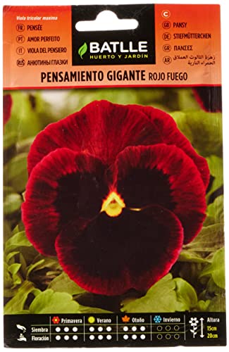 Sementes de Plantas Batlle Gigante Vermelho Fogo Semillas Batlle - Sementes - sementes gigantes, cores vistosas, resistentes à seca, frio