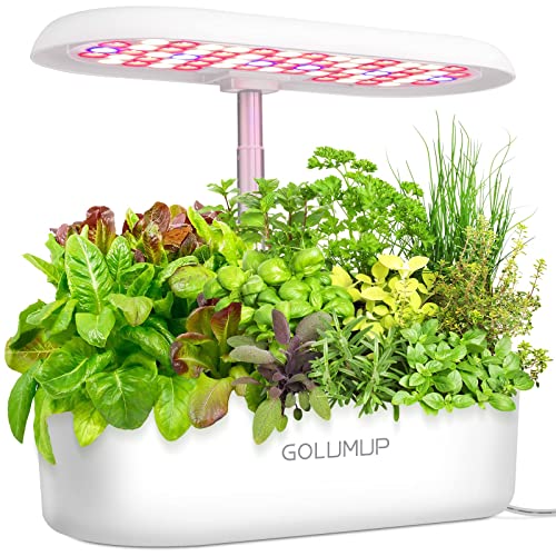 Sistema de cultivo hidropônico GOLUMUP GOLUMUP - Vasos e canteiros - hidropónico, interiores, 3 níveis, luzes LED