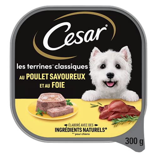 Ração para Cão CESAR (20 x 300 g - Seca - Adulto - Sabor: Frango) CESAR - Ração para cães - 20 x 300 g, seca, adulto, frango