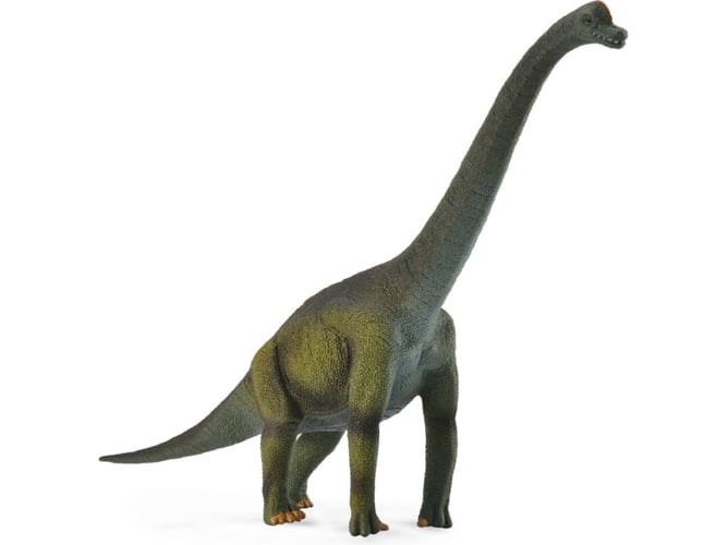 Figura de coleção BRACHIOSAURUS 18cm (Peluches e Bonecas) Collecta - Bonecos de ação e brinquedo - brachiosaurus, 18cm