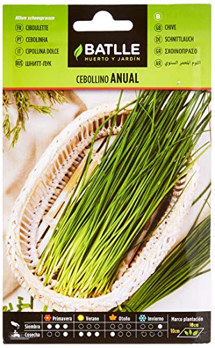 Sementes Aromáticas de Batalha - Cebolinho Anual (3G) BATLLE - Sementes - cebola anual, folhas verdes, semear em fevereiro a maio