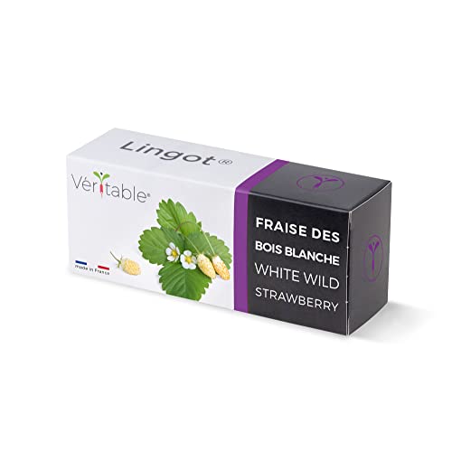 Lingote de Plantas Verdes VÉRITABLE Fruta Branca Veritable - Solo - verde, fruta branca