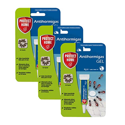 Atraca-Formiga PROTECT HOME Gel (4 g - 1 Unidade) SBM - Pesticidas - gel, atraente, rápido, interiores