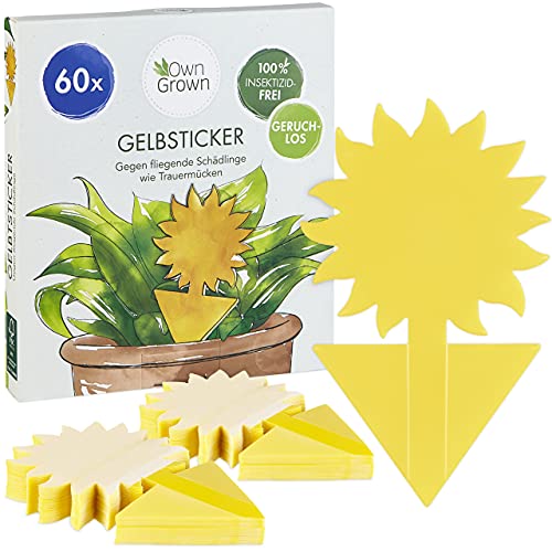 Fitas Adesivas Mosquetares 60 Unidades OWN GROWN OwnGrown - Armadilhas de controle de pragas - fita adesiva, mosquetares, 60 unidades