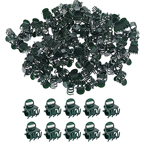 Pinça para Plantas Queerelele 100 Unidades Queerelele - Gaiolas e suportes para plantas - pinça, plantas, queerelele, 100 unidades