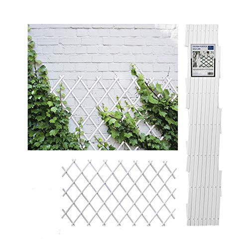 Vedação de Jardim 0,5 X 1,5 M Branco FELPUDOS Comercial Candela - Arcos de jardim, treliças, caramanchões e pérgulas - vedação, jardim, branco, 0.5x1.5m