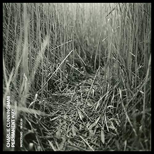 CD Permanent Way - The Permanent Way (1 CDs) Charlie Cunningham - Cds de música - cd, permanent way, the permanent way