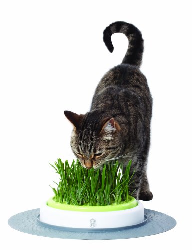 Brinquedo para Gatos CAT IT (Amarelo - Plástico e Tecido) Catit - Kits de cultivo de plantas e ervas - almofada, massagem, tapete, folhas naturais