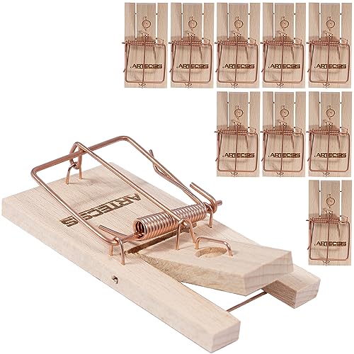 Conjunto de 10 Armadilhas para Ratos ARTECSIS Challenge Internet - Armadilhas de controle de pragas - armadilhas, ratos, conjunto, 10 peças