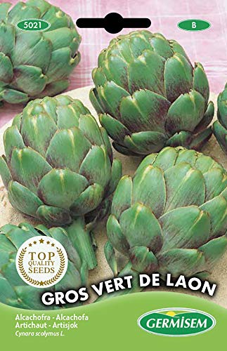 Sementes de Alcachofra GERMISEM Vert de laon (1g) GERMISEM - Sementes - alcachofra, vert, laon