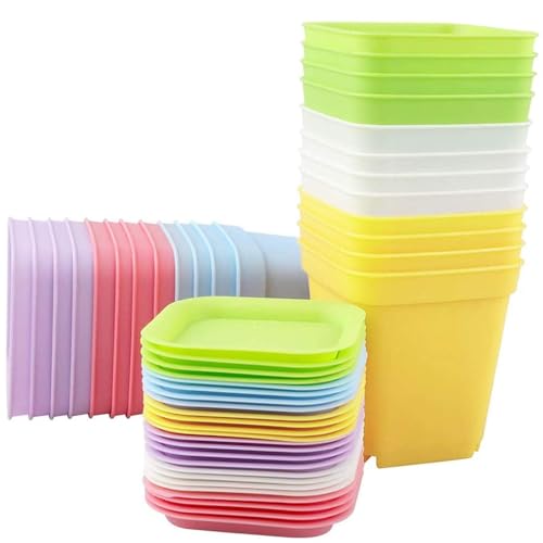 Caixa para Plantas 24 Unidades PLASTIQUE Xionghonglong - Vasos e canteiros - 24 unidades, plástico, quadradas, coloridas