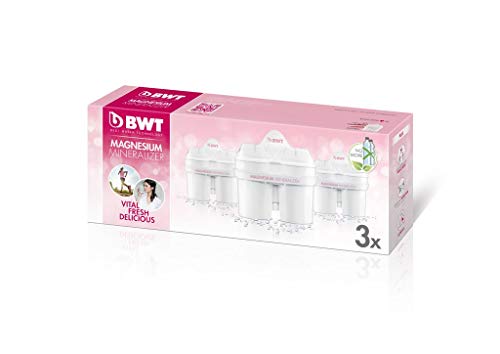 Filtro de Água para Jarro BWT 03-100 (3 Meses) BWT - Cartuchos de filtro de água - 3 meses, resistente à água, filtro de água
