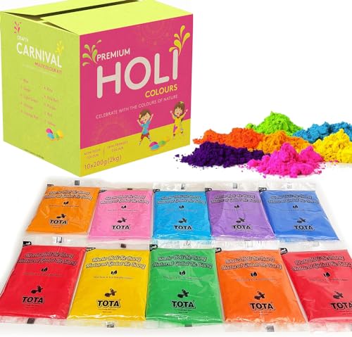 Tota Premium Holi Colors 10 Cores 200Gr Pick N Save - Conjuntos de ciência e exploração - 10 cores, 200g, vibrantes, resistentes à água