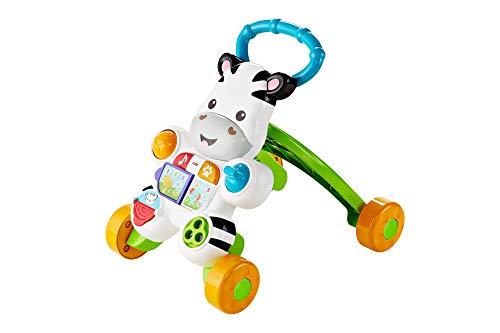 Brinquedo de Empurrar FISHER-PRICE DLD96 (1 anos) Fisher-Price - Móveis para bebês e crianças pequenas - empurrar, luzes, livro electrónico, letras e números