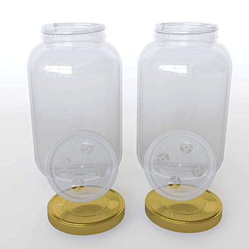 Caixa de Vidro Grande com Tampa - 4,25 L (Recondicionado Como Novo) myFERMENTS - Potes de fermentação e conserva - 4,25 L, tampa, recondicionado