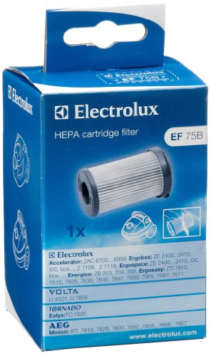Filtro de Ar Elektrólux Efh10W Hepa10 219115252 Electrolux - Acessórios de aspirador - hepa10, 2,4 cm, branco