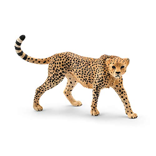 Figura SCHLEICH Leopardo Macho (Idade Mínima Recomendada: 3 anos) Schleich - Bonecos de ação e brinquedo - pintada, peleiras, cartão, 3 anos