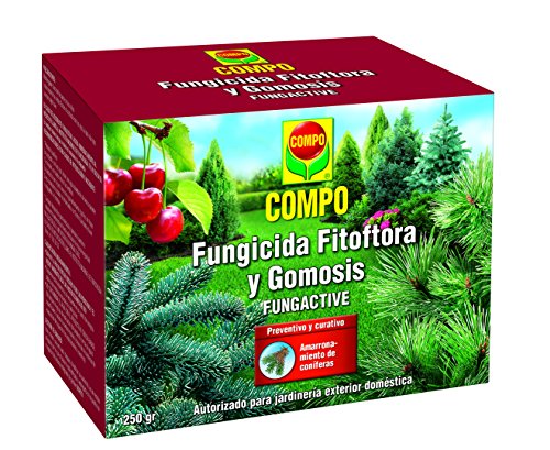 Fungicida Fitofthora e Gomosis Compo 250 Gr Compo - Jardinagem - fungicida, fitofthora, gomosis, coníferas, pytium