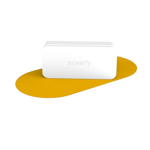 Detetor de vibração SOMFY IntelliTAG 2401487 SOMFY - Sensores de sistema de segurança - vibração, detetor, movimento, bateria
