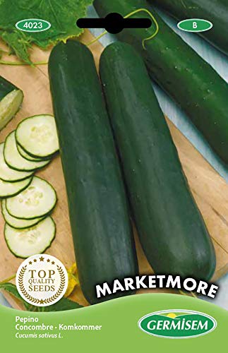 Sementes de Pepino GERMISEM MARKETMORE (Pepino) GERMISEM - Sementes - germissem, marketmore, pepino