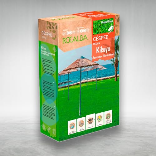 Sementes de Relva Artificial KIKUYU 100 g ROCALBA - Lâmpadas de plantas e flores - sementes, relva artificial, kikuyu, 100 g