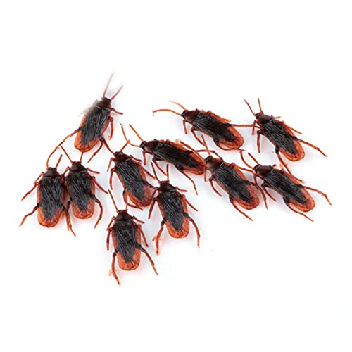 Brinquedo LEEINTO Plástico Falso Cucaracha LEEINTO - Brinquedos - plástico, cucaracha, brinquedo, halloween