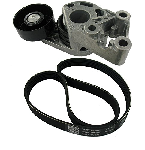 Kit de Acessórios para Corrente de Transmissão SKF VKMA 31036 SKF - Peças do motor do veículo automóvel - kit, acessórios, corrente transmissão, skf vkma 31036