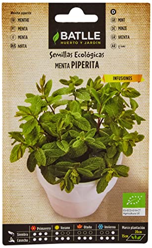 Sementes Ecológicas Menta Piperita 1 Grão BATLLE - Sementes - ecológicas, menta, piperita