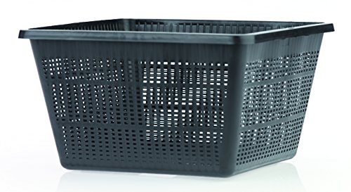 Cesto para Planta Quadrado 23cm FARMAROUND Oase - Vasos e canteiros - cesto, planta, quadrado, 23cm