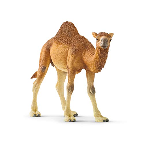 Figura de Ação SCHLEICH Dromedary (Idade Mínima Recomendada: 3 anos) Schleich - Bonecos de ação e brinquedo - dromedário, 3 anos, realismo, imaginação
