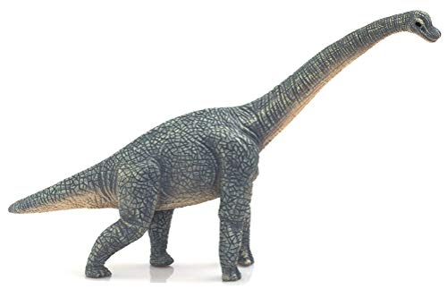 Figuras de Ação SCIENCE4YOU Brachiosaurus (Idade Mínima Recomendada: 3 anos) MOJO - Brinquedos - brachiosaurus, 3 anos, articulado, texturizado