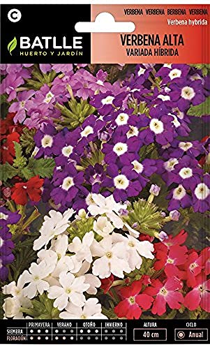 Sementes de Ervas e Plantas BATLLE Verbena Alta (100 g) Semillas Batlle - Sementes - ervas, plantas, verbena alta, 100 g