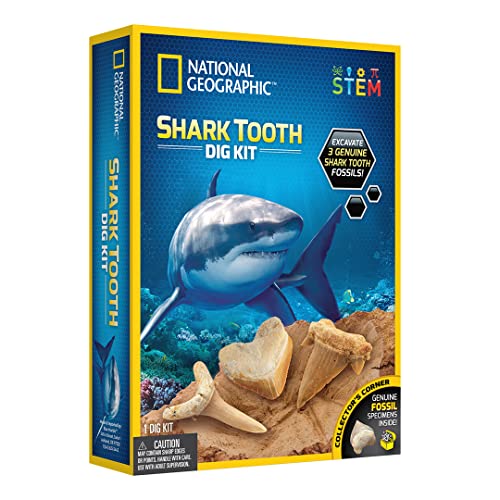 Jogo de tabuleiro NATIONAL GEOGRAPHIC Dig Shark Tooth Game (8 anos) National Geographic - Brinquedos - dentes reais, ferramentas, guia de aprendizagem, lupa