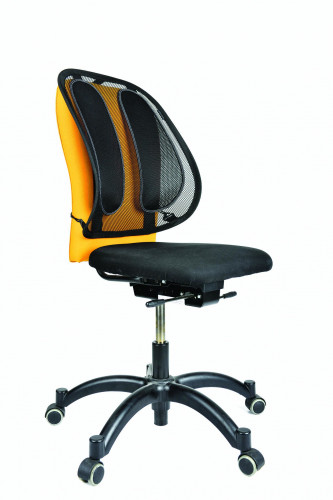Almofada para Espreguiçadeira FELLOWES 9191301 Fellowes - Acessórios de cadeira de escritório - altura ajustável, apoio lumbar, material de rede, sistema tensor