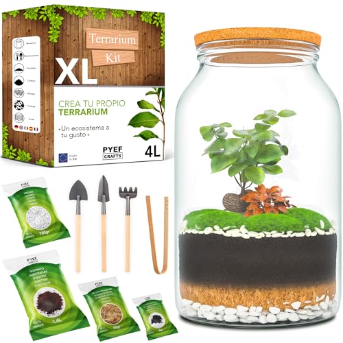 Kit de Jardim PYEF CRAFTS Kit Terrário Plantas XL DIY PYEF Crafts - Kits de cultivo de plantas e ervas - 4 terrários, 1,5 litros cada, sistema de rega, vidro temperado