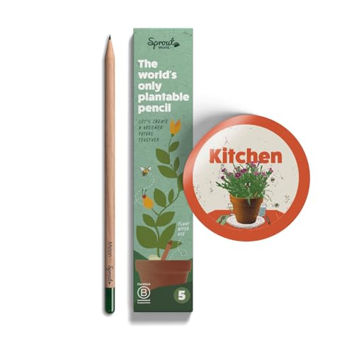 Lápis de Carvão ECOYA Kitchen (Castanho - 5 Unidades) Sprout - Carvões de arte - eco, castanho, 5 unidades