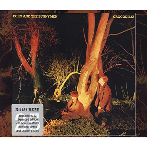DVD Crocodiles (Expanded & Remastered) (Edição em Espanhol) Wea - Música e gravações de som - dvd, crocodiles, expanded, remastered, edição em espanhol