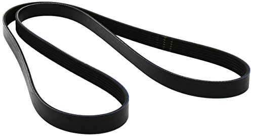 Correia de Máquina de Embalar GAT 6PK1753 GATES - Peças do motor do veículo automóvel - epdm, fibra, resistente, temperatura extrema