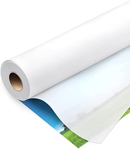 Papel de Impressão CANON Transparente (42cm x 20m) ELES VIDA - Papel de arte e artesanato - transparente, 4,2cm, 20m