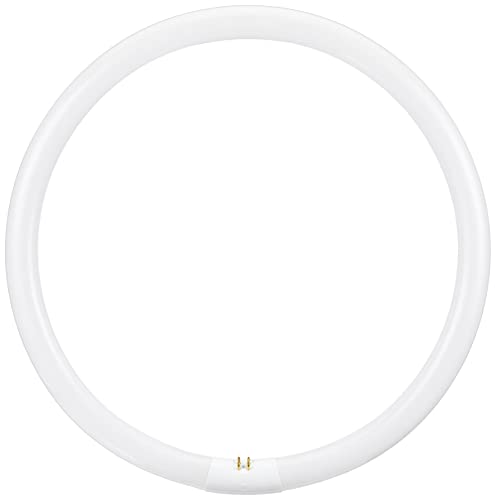 Lâmpada Fluorescente OSRAM L 40W/840 G10Q Osram - Lâmpadas - lâmpada fluorescente, osram, 40W, g10q, branco