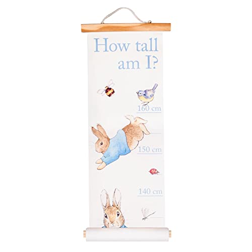 Quadro de Avisos para Bebé Peter Rabbit Height Chart 60 x 90 cm FIZZ CREATIONS - Livros - 60 x 90 cm, altura, ilustrado, cordão