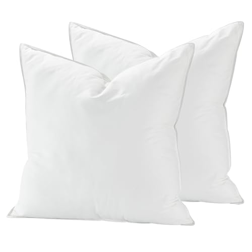 Conjunto de 2 Almofadas de Penas e Peneiras de Ganso PUREDOWN puredown - Almofadas - almofadas, peneiras, ganso, puredown