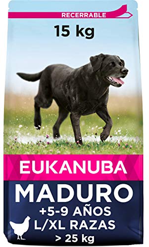 Ração para Cães EUKANUBA (18 Kg - Seca - Adulto - Sabor: Frango) EUKANUBA - Ração para cães - croquetas, frango, 18 kg, seca