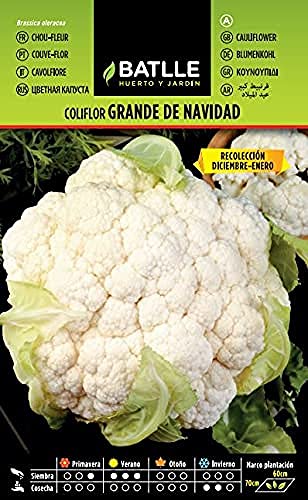 Sementes BATLLE Coliflor Grande 500 g (Recondicionado Como Novo) BATLLE - Sementes - sementes, coliflor, grande, recondicionado