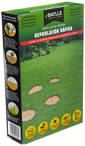 Sementes BATLLE Sementes de Grama Verde (1 Kg) BATLLE - Sementes - grama verde, 1 kg, recuperação, jardim