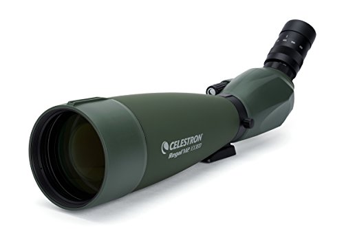 Telescópio CELESTRON Regal M2 (67x - Abertura: 102 mm) Celestron - Telescópios terrestres - 67x, 102 mm, abertura