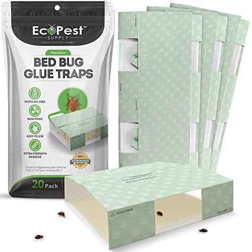 Conjunto de 20 Gatos de Pegamento para Chinches EcoPest Supply - Armadilhas de controle de pragas - 20 gatos, pegamento, chinches, adesiva, infestação