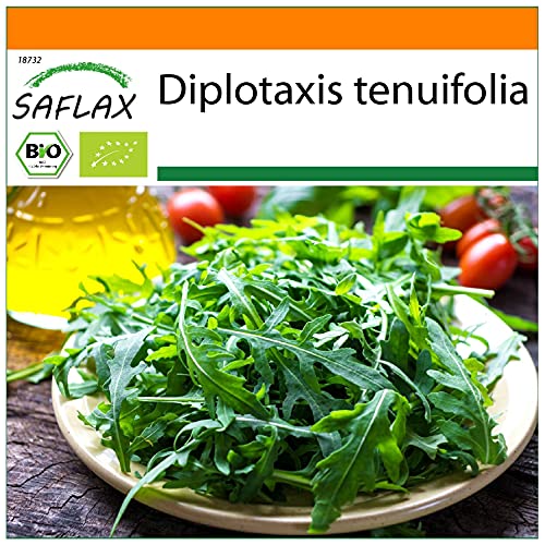 Sementes de Erva Safflower Orgânica 1500 Saflax SAFLAX - Lâmpadas de plantas e flores - sementes, erva, safflower, orgânica