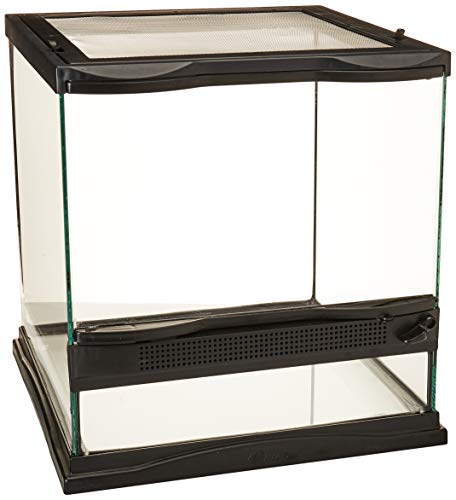 Aquário para Peixes TERRARIUM Verre Zoomed Aucune - Habitats para répteis e anfíbios - aquário, peixes, terrarium