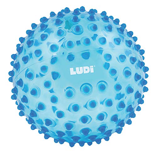 Brinquedo de Trabalhos Manuais JBM Pelota Sensorial Transparente Azul (Idade Mínima: 3) Ludi - Massageadores - sensorial, transparente, azul, educativo